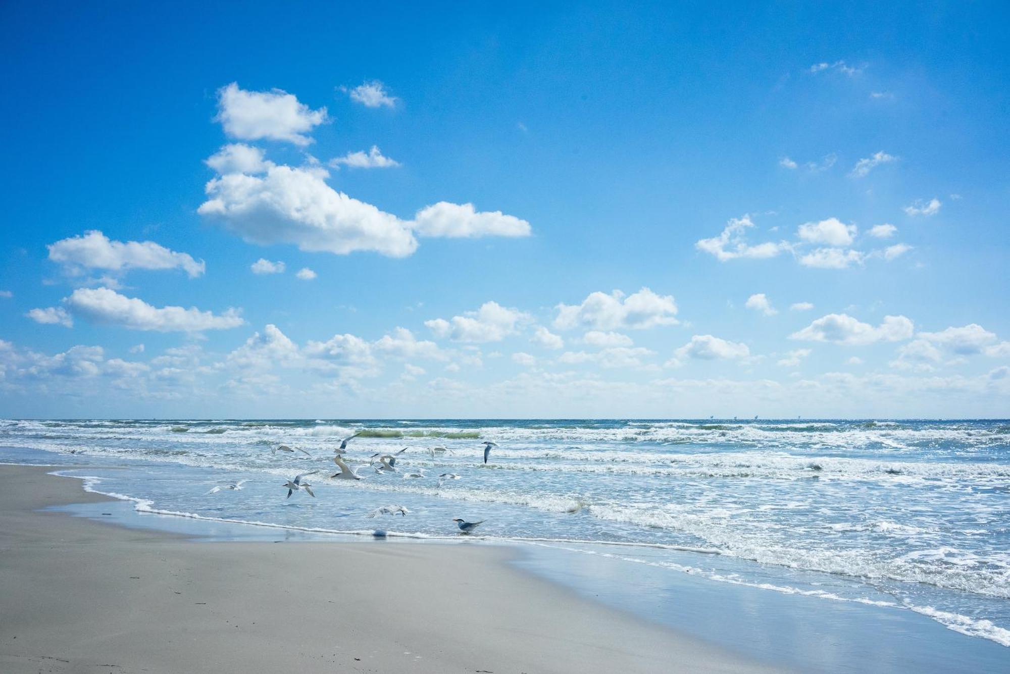 King'S Cove 5 Min To Beach, Bbq, King Bed Corpus Christi Luaran gambar